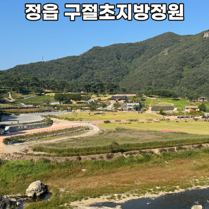 정읍 구절초지방정원 산내면 여행 가볼만한곳