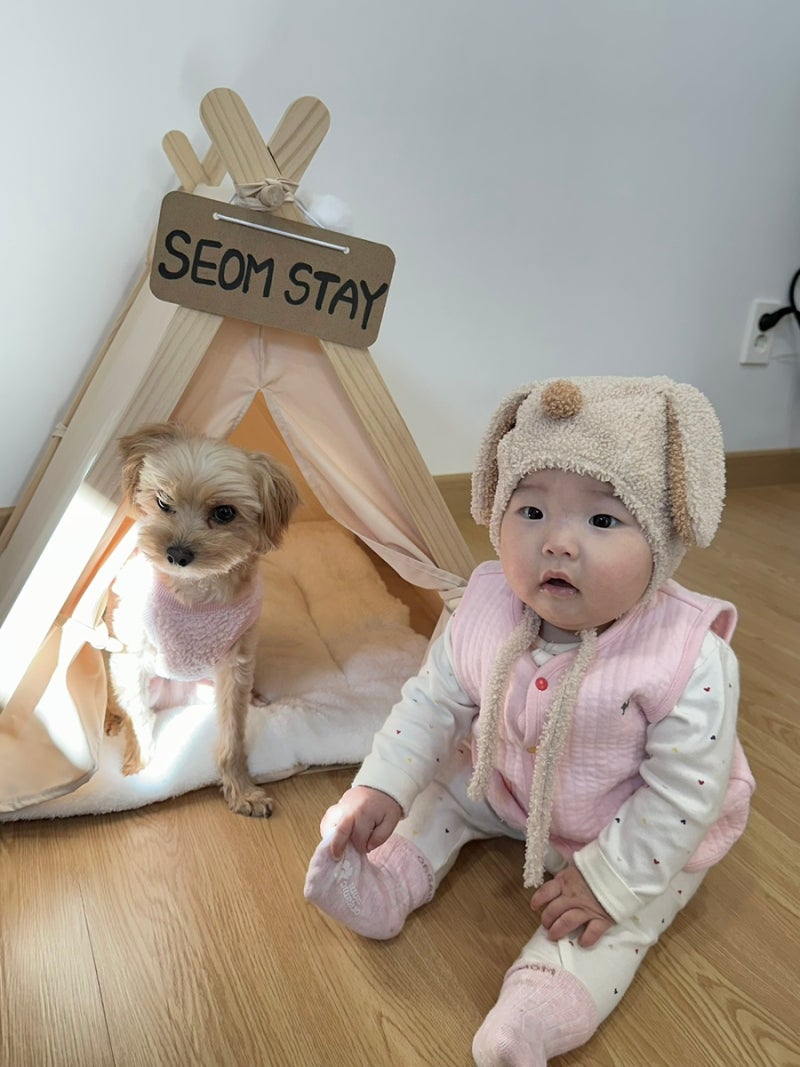 This is the pet-friendly pension on Geumo Island! #Seomstay