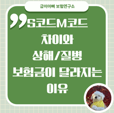 S코드 M코드 차이와 상해/질병 보험금이 달라지는 이유