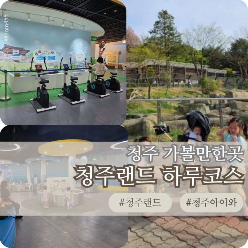 청주 아이와 가볼만한곳 청주랜드 동물원 어린이체험관 하루코스