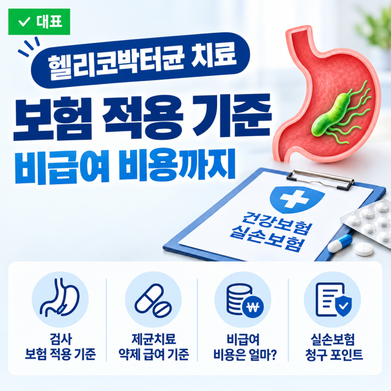 헬리코박터균 치료 보험 적용 기준｜제균치료·검사·비급여 비용까지 총정리