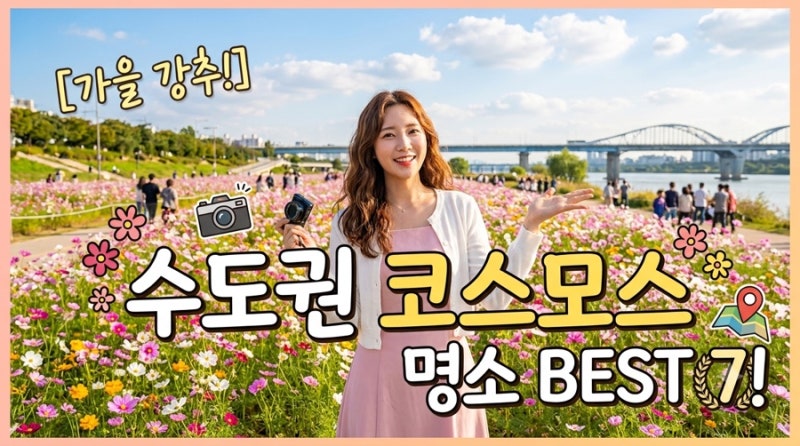 2026 수도권 코스모스 축제 BEST 7 어디야? 서울 근교 가을꽃 명소 한눈에~