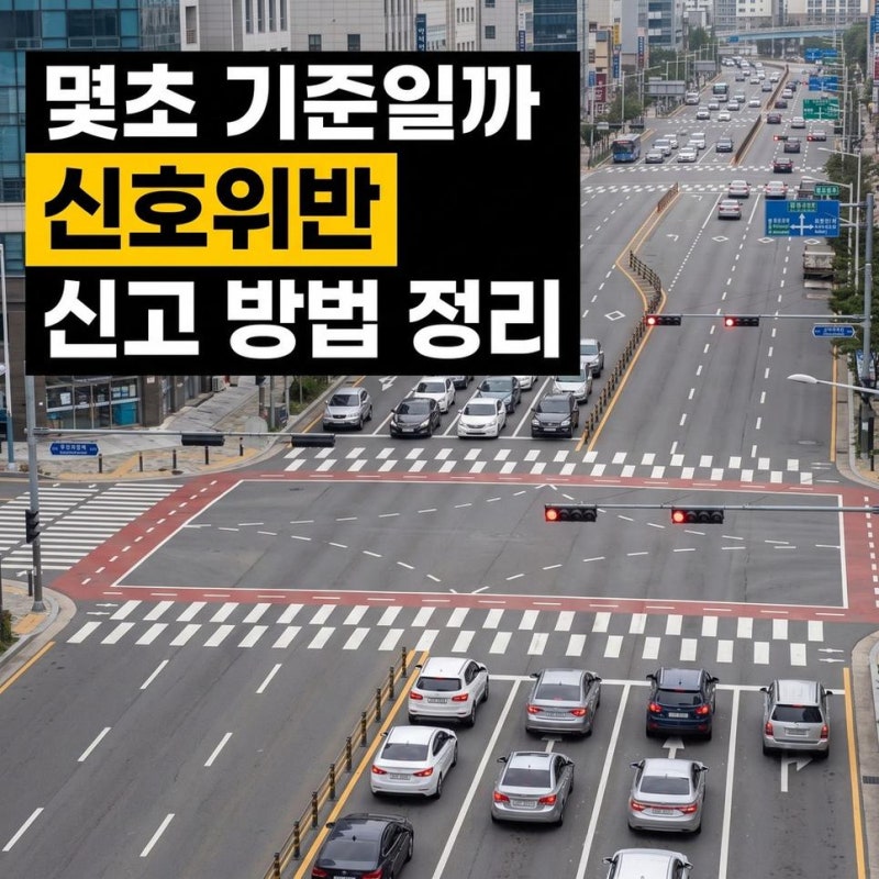 신호위반 기준 몇초 차량 신고하는 곳과 방법 포상금 여부 한눈에 정리