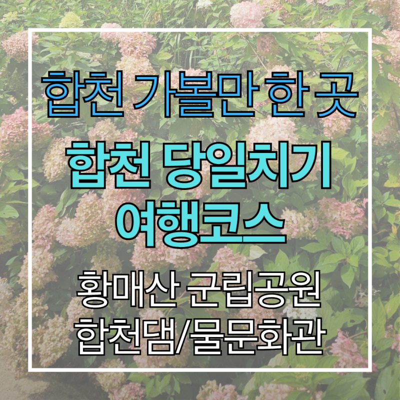 추석 연휴 가볼만한곳 대구 근교 합천 당일치기 여행 황매산 맛집 정리