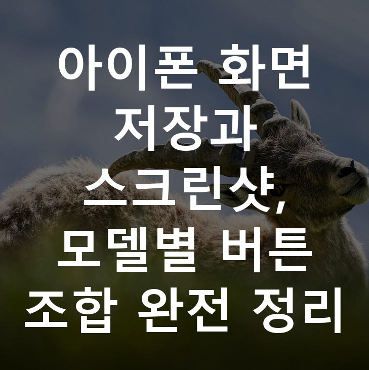 아이폰 화면 저장과 스크린샷, 모델별 버튼 조합 완전 정리