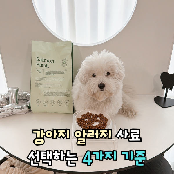강아지 알러지 사료 추천, 등급 높은 애견 피부사료