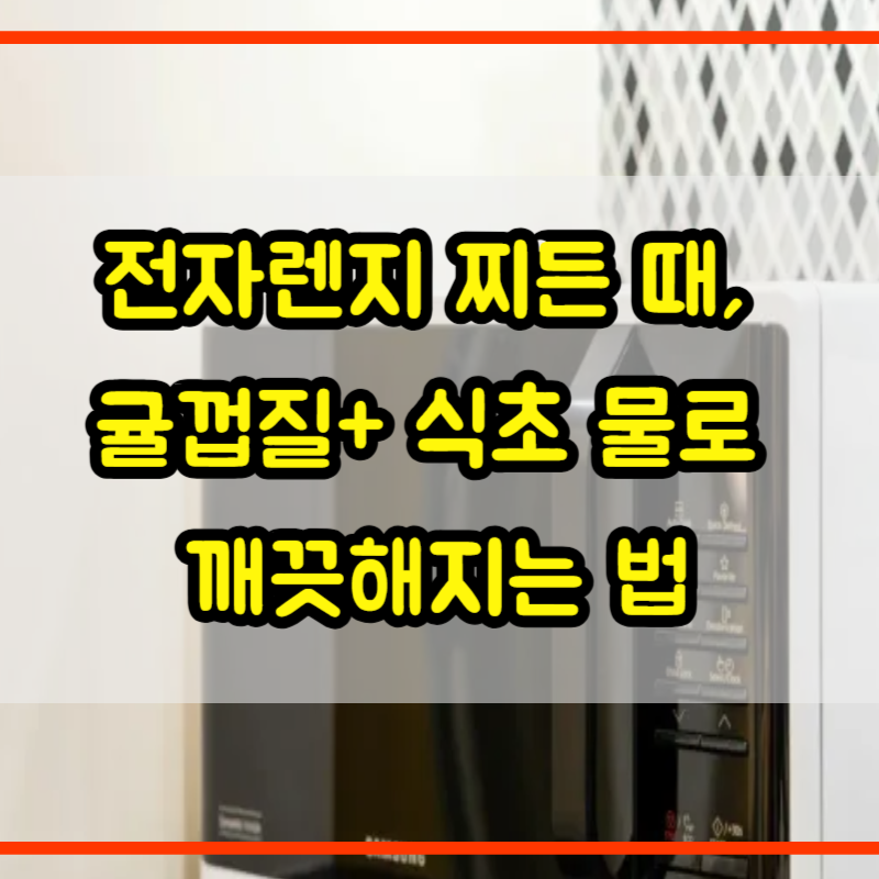 전자레인지 내부 찌든 때, 귤껍질이랑 식초 물로 5분 만에 청소하는 법!