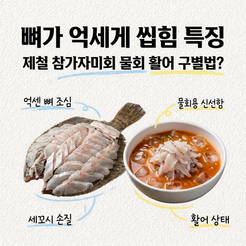 참가자미 뼈가 억세게 씹힘 특징 제철 세꼬시 참가자미회 물회 활어