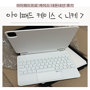 [니케] 아이패드 케이스 내돈내산 후기, 모델번호 A3357, 아이패드프로 11 M5