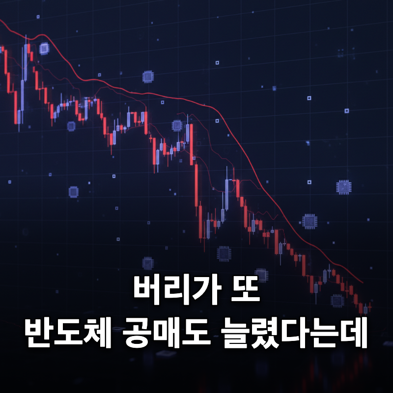 반도체 공매도 늘린 버리 "500% 오른 값, 2년이면 끝난다"는데