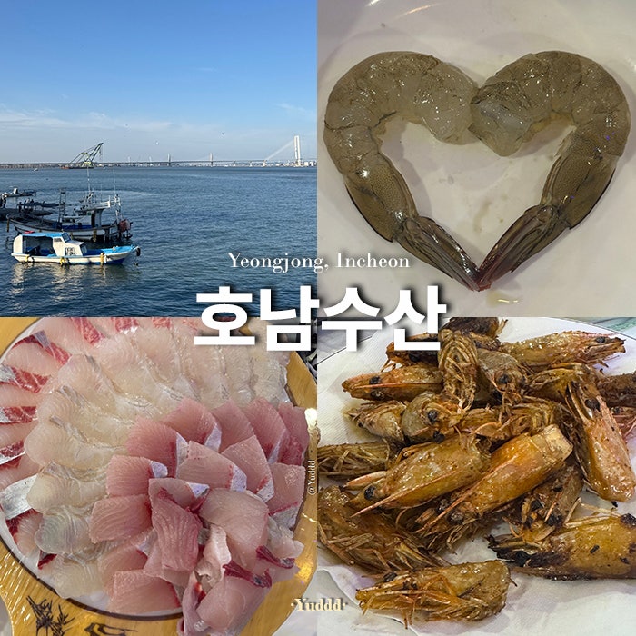 인천ㅣ영종도 조개92 호남수산 생새우 소금구이 새우머리 버터구이 방어 광어회 해삼 전복 ....
