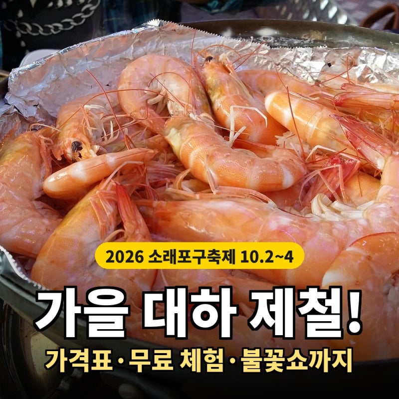 2026 소래포구축제, 보트 타고 대하 낚는 아이 체험도 무료·불꽃쇼는 금·일요일만 (먹거리 가....