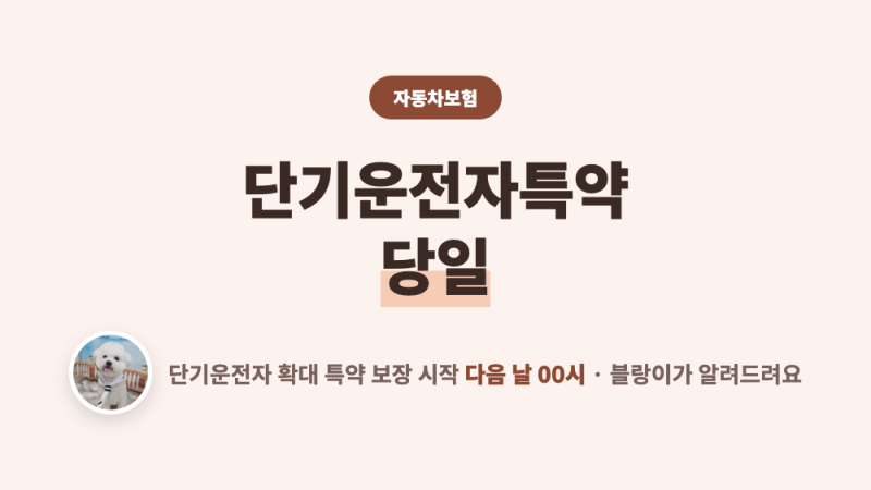 단기운전자특약 당일, 추석 즉시 보장될까