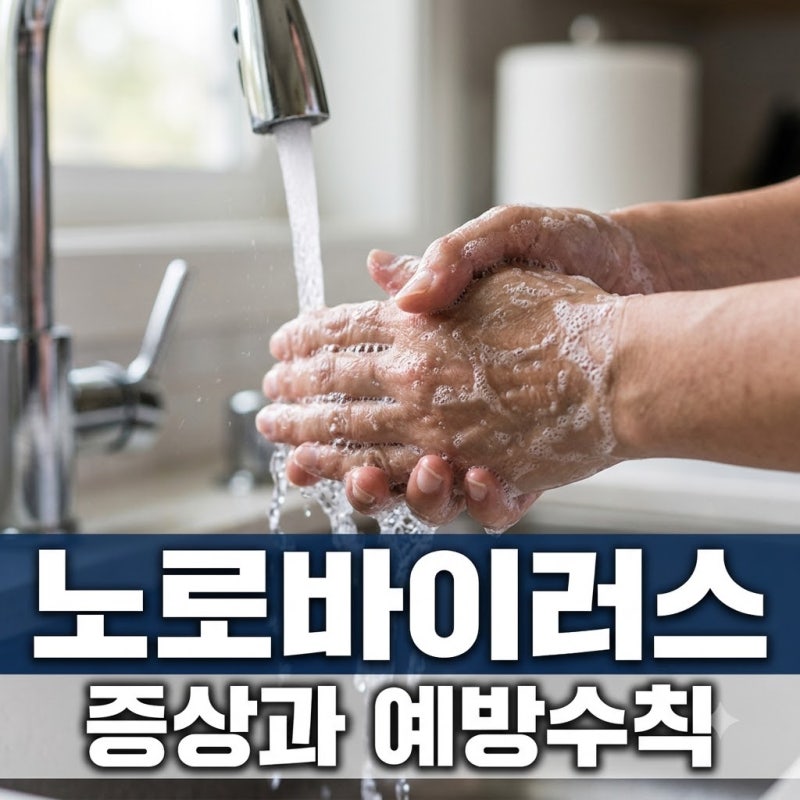 노로바이러스 증상 잠복기 예방법 총정리! 2026년 유행 주의보