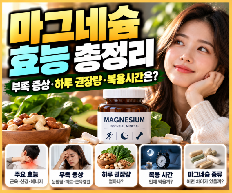 마그네슘 효능 5가지｜수면·피로·근육 건강 효과 알아보기