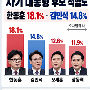 차기 대선 후보 적합도 조사…한동훈 18.1%(^), 김민석 14.8%