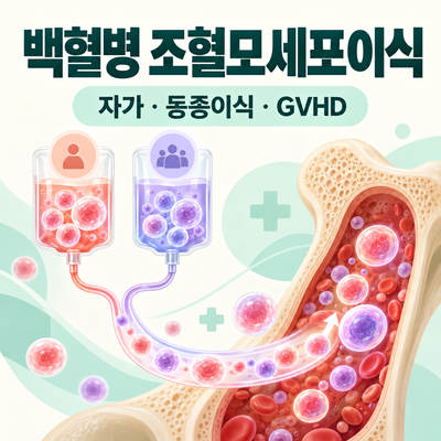 백혈병 조혈모세포이식 총정리｜자가·동종이식·이식편대숙주병
