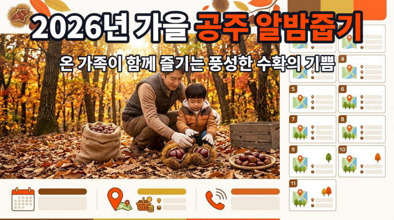 2026 가을 아이와 가볼만한곳, 공주시 알밤줍기 명소 11곳 실패 없는 비교 추천