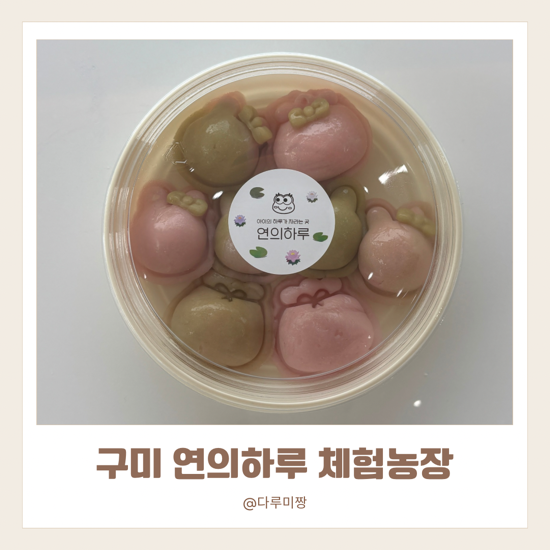 구미 아이랑 가볼만 한 곳 연의하루 체험농장 키즈원데이클래스 연잎바람떡 만들기 체험 대....