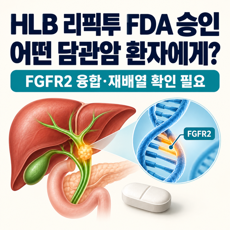 HLB 리픽투 FDA 승인, 어떤 담관암 환자가 쓸까? FGFR2·효과·경쟁약 정리