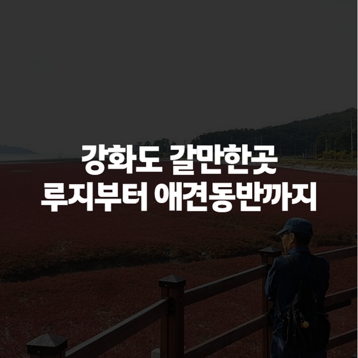 강화도 갈만한곳 루지·애견동반·아이랑 코스까지, 부모님 모시고 가기 좋은 당일치기 총정....