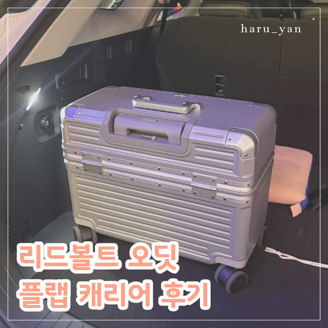 리드볼트 오딧 플랩 캐리어 내돈내산 후기, 여행 가서 보니 더 탐났던 캐리어