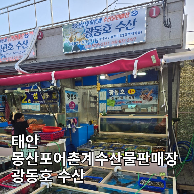 태안 수산시장 몽산포어촌계 수산물판매장 광동호 수산 | 싱싱한 조개와 생새우, 해산물 절....