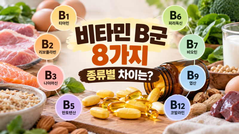 비타민 B군 8가지 종류 총정리, B1·B2·B3·B5·B6·B7·B9·B12 차이는?