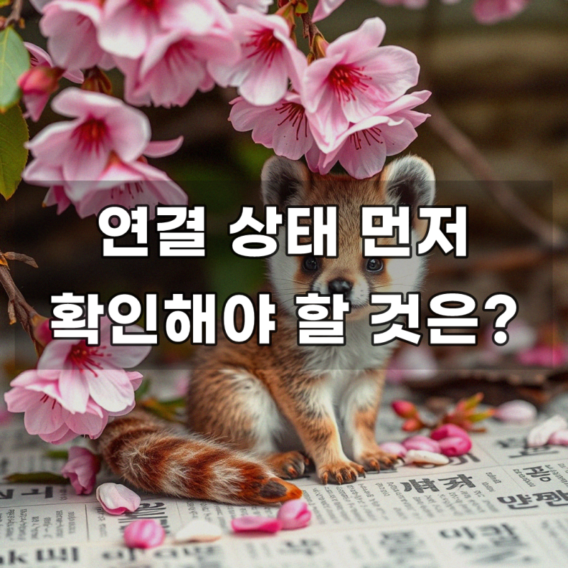 올레 KT 인터넷 연결 관련 문제 반드시 알아야 할