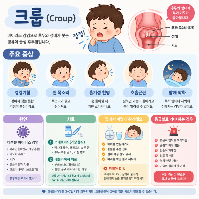 21개월 아이 쉰목소리와 컹컹기침에 스테로이드 주사 맞은 후기 '크룹'의 원인, 바이러스, 증....