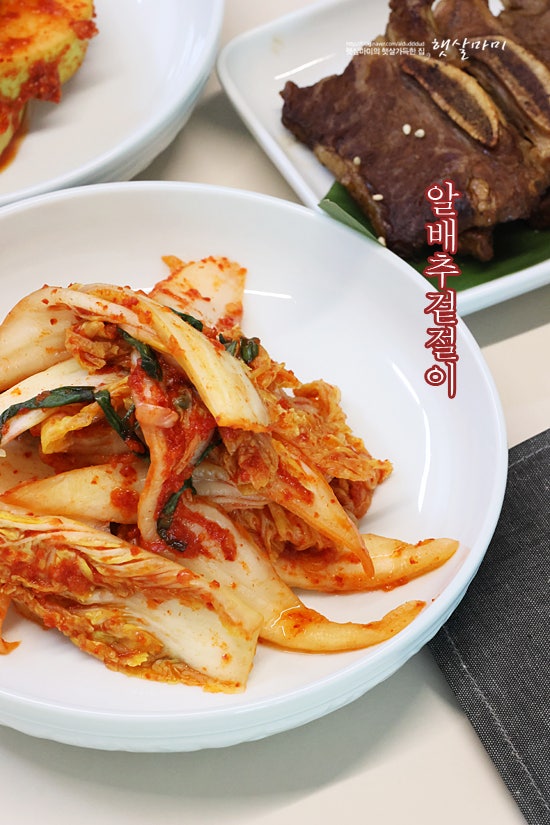 알배추 겉절이 만들기 배추 요리 만드는 법 집반찬 레시피