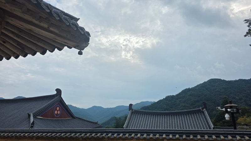 Hapcheon, Gyeongnam Attractions: Daejanggyeong Theme Park, Haeinsa Temple, Gayasan Sorigil Trail
