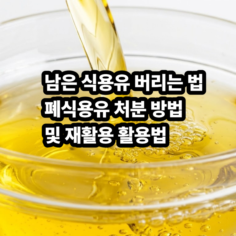 명절 남은 식용유 버리는 법 : 폐식용유 처분 방법 및 재활용 활용법