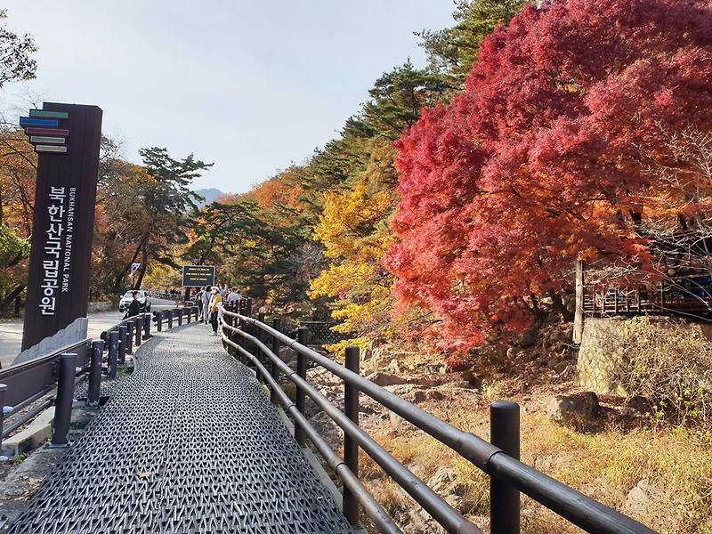 2026 가을 단풍 명소 BEST 18 / 올가을 단풍 어디로 갈까? 서울·인천·경기·강원·경북·경남 지....