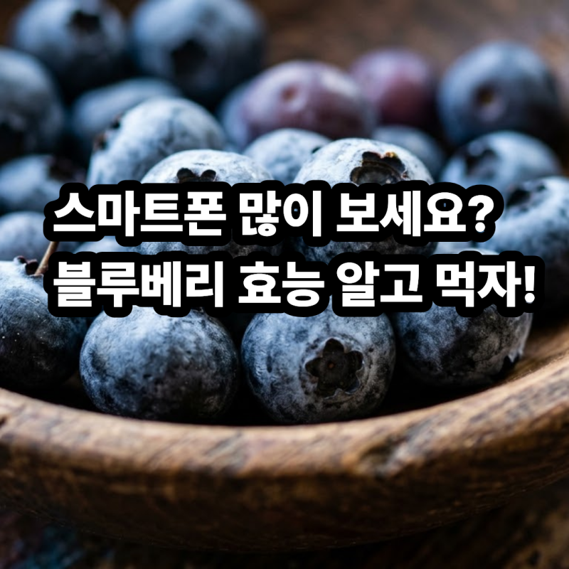 스마트폰 매일 보는 사람 필수! 블루베리 효능 알고 먹는 당뇨·염증·세척 팁