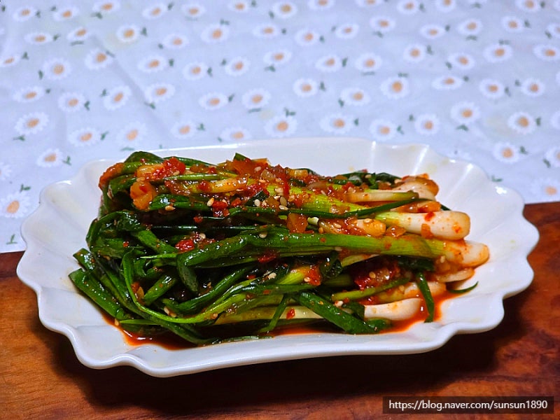 쪽파김치 맛있게 담그는법 파김치 담그기 레시피 쪽파요리
