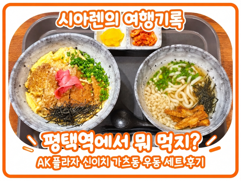 평택역에서 뭐 먹지? AK플라자 신이치 가츠동 우동 세트 후기