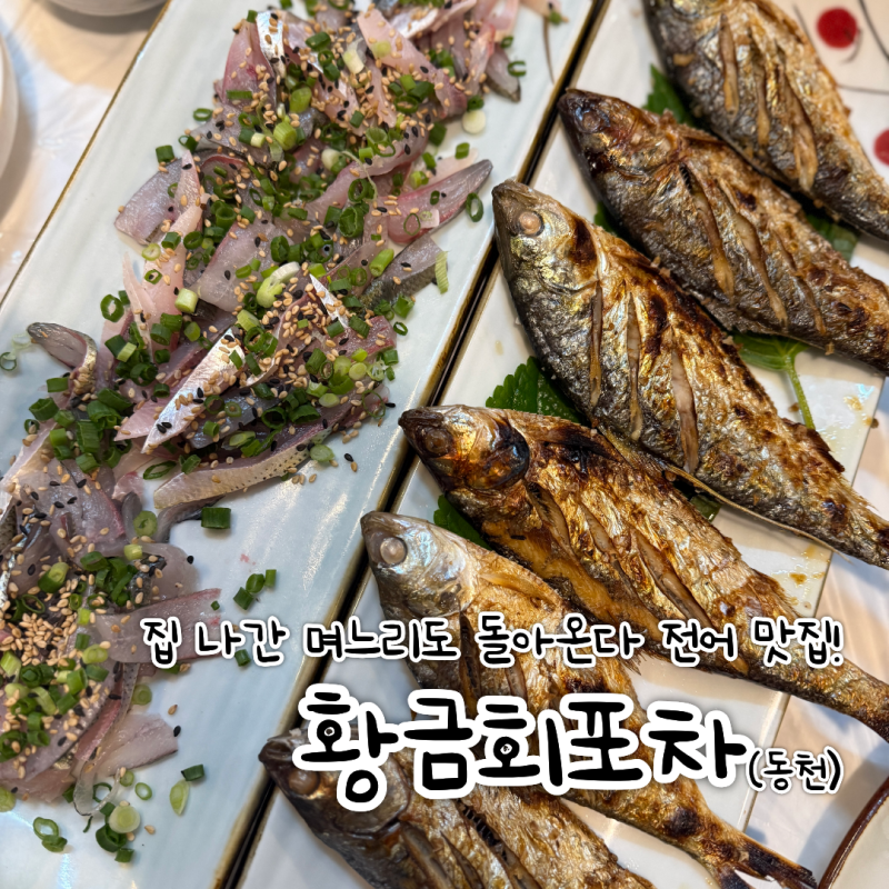 광주 동천동 맛집 황금회포차 제철 전어회 전어구이 먹으러 재방문한 횟집