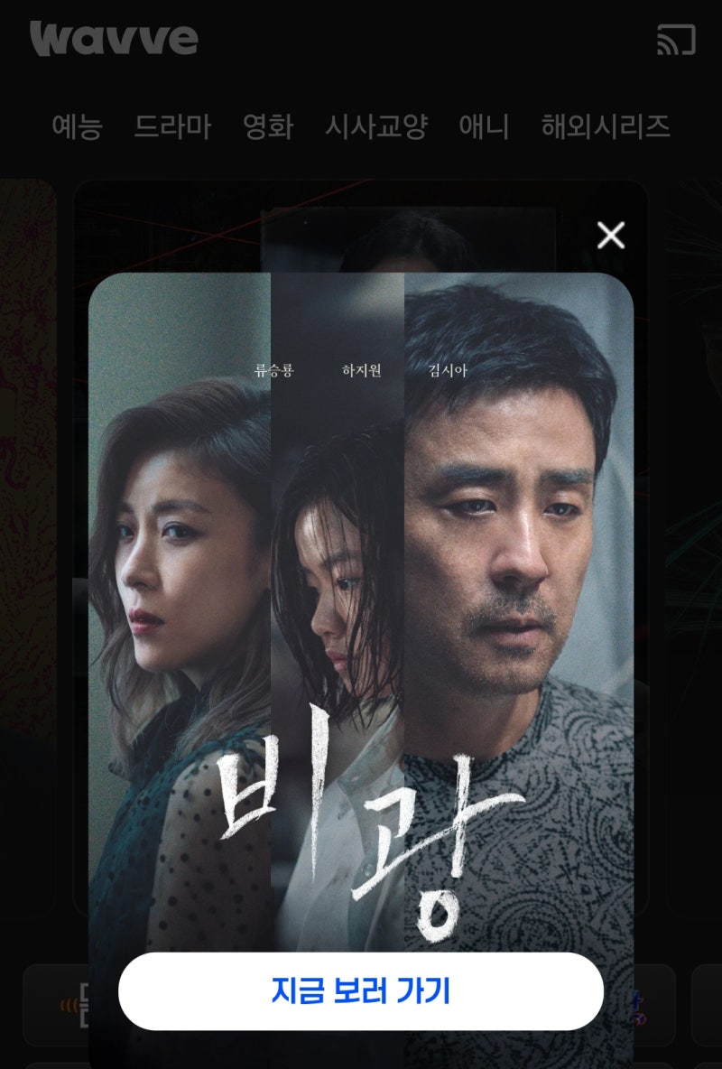 (웨이브 단독,무료영화공개)비광(Portrait of a Family,2026)-하지원, 류승룡 주연