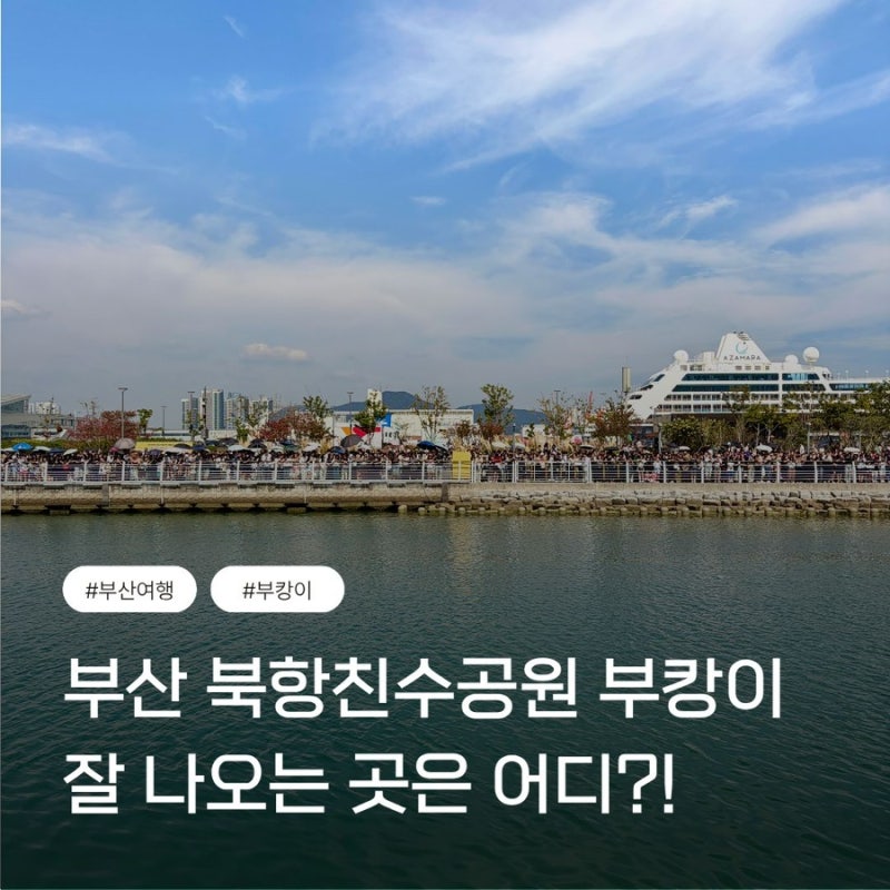 부산역 북항친수공원 가는 법, 부산상어 부캉이 잘 보이는 곳과 팁