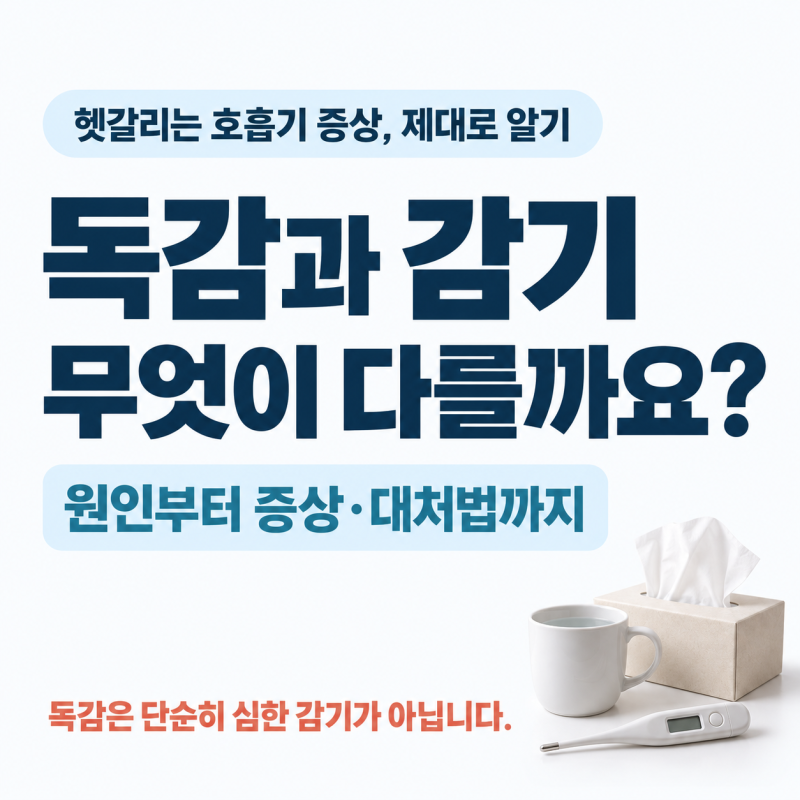 독감과 감기의 결정적 차이와 증상별 올바른 대처법