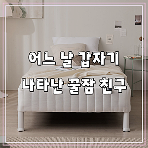 상일리베가구 루카 1인용 원룸 미니 침대 매트리스 일체형 침대 S