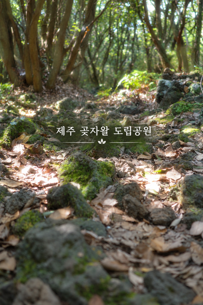 Jeju Gotjawal Provincial Park in Daejeong-eup, Western Jeju: Trails, Courses, Admission Fees, and Hours