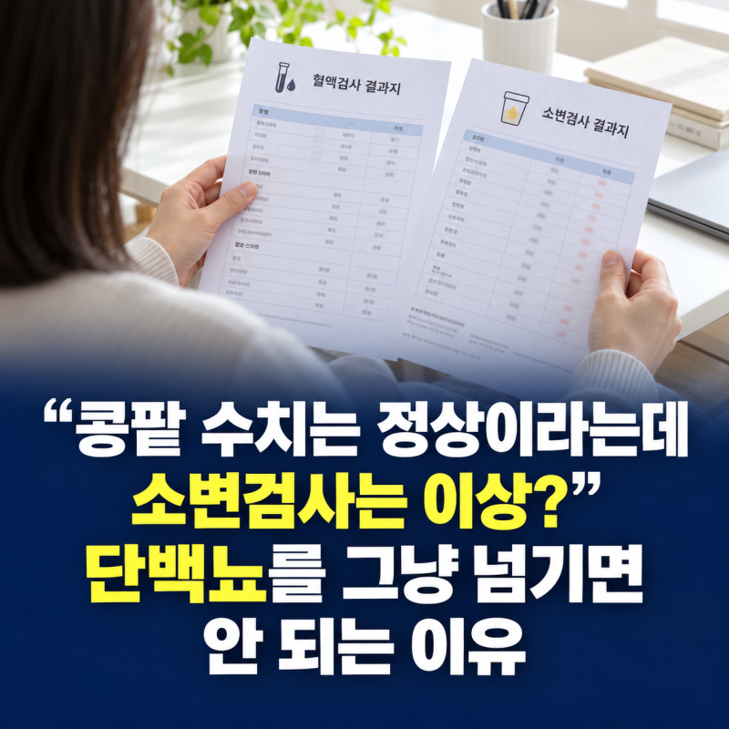 “콩팥 수치는 정상이라는데 소변검사는 이상?” 단백뇨를 그냥 넘기면 안 되는 이유