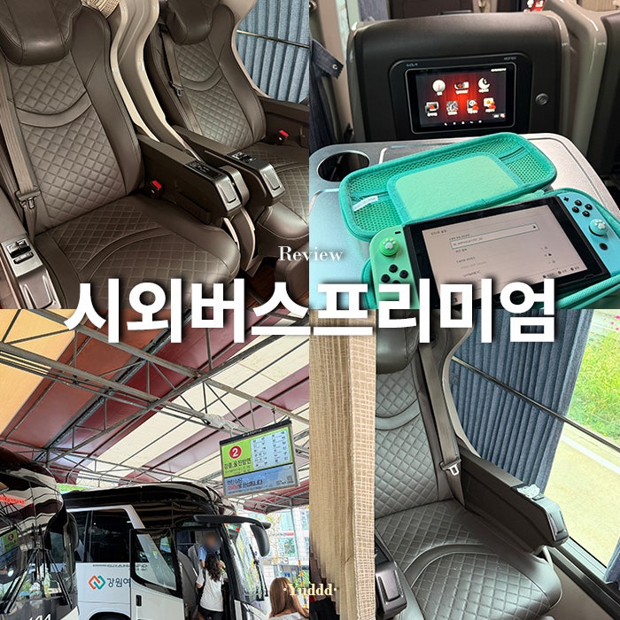 리뷰ㅣ동서울종합터미널 시외버스 프리미엄 고속버스 좌석 후기 삼척 장거리 이동 커튼 치....