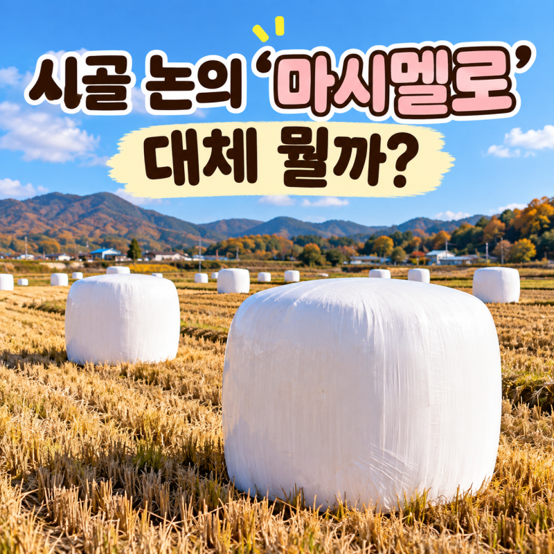 시골 논에 보이는 ‘마시멜로’는 뭘까?