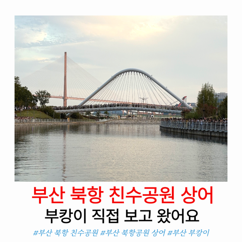 부산 북항 상어 부캉이, 위치 주차 대중교통 직접 본 후기