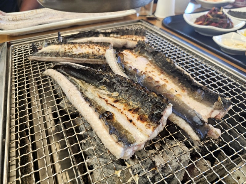 [민물 장어] 평택 백두수산 거대장어 저렴하게 보양하세요