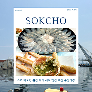 속초 대포항 횟집 대게 세트 맛집 추천 수산시장 가성비 1등
