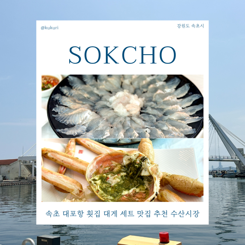 속초 대포항 횟집 대게 세트 맛집 추천 수산시장 가성비 1등